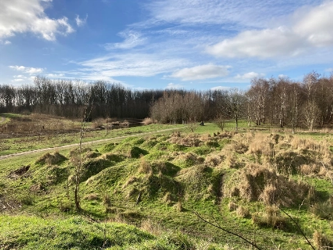 Provincie komt over de brug voor sanering Broekpolder